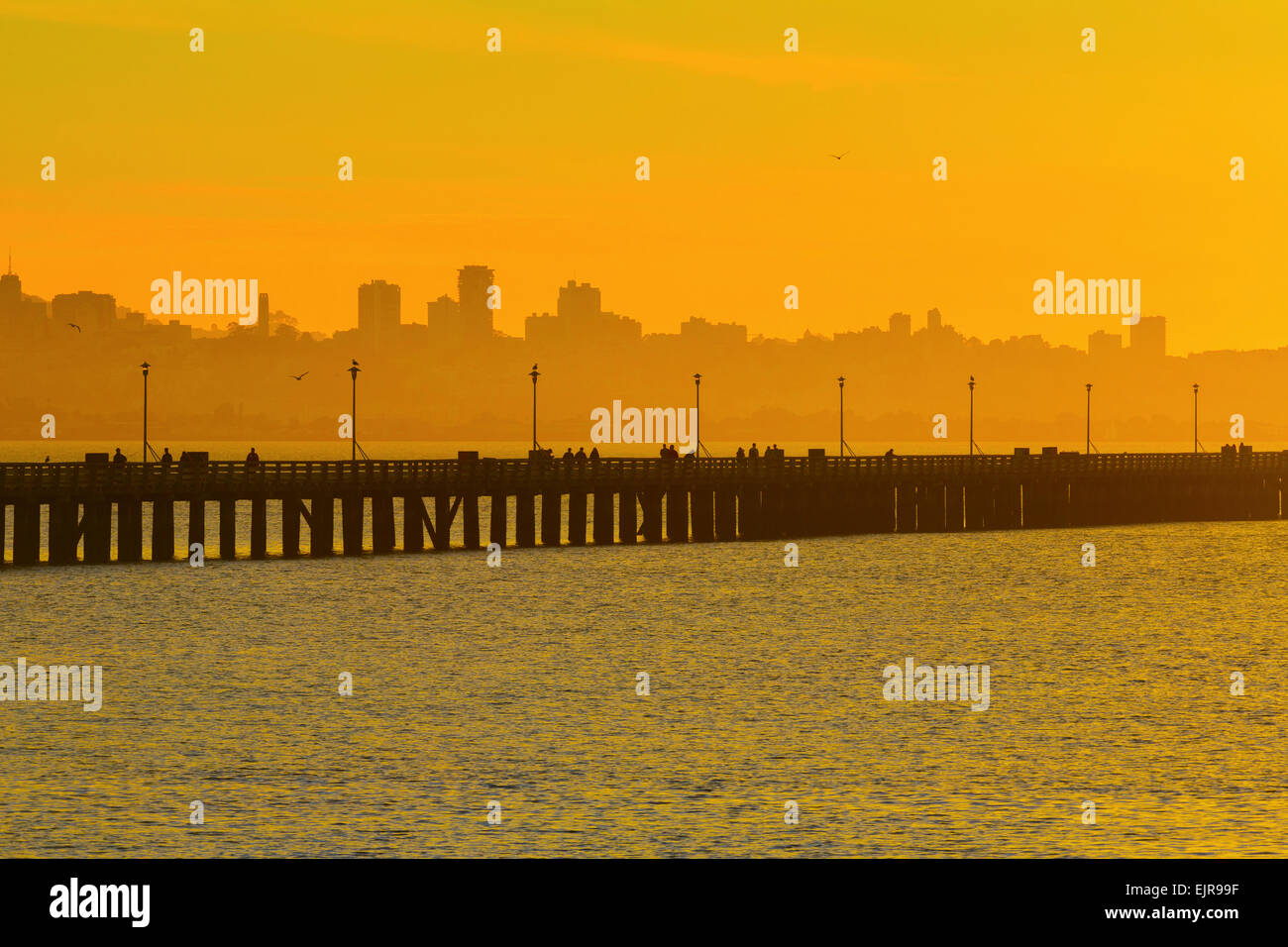 Silhouette di San Francisco skyline della città su autostrada sulla baia Foto Stock