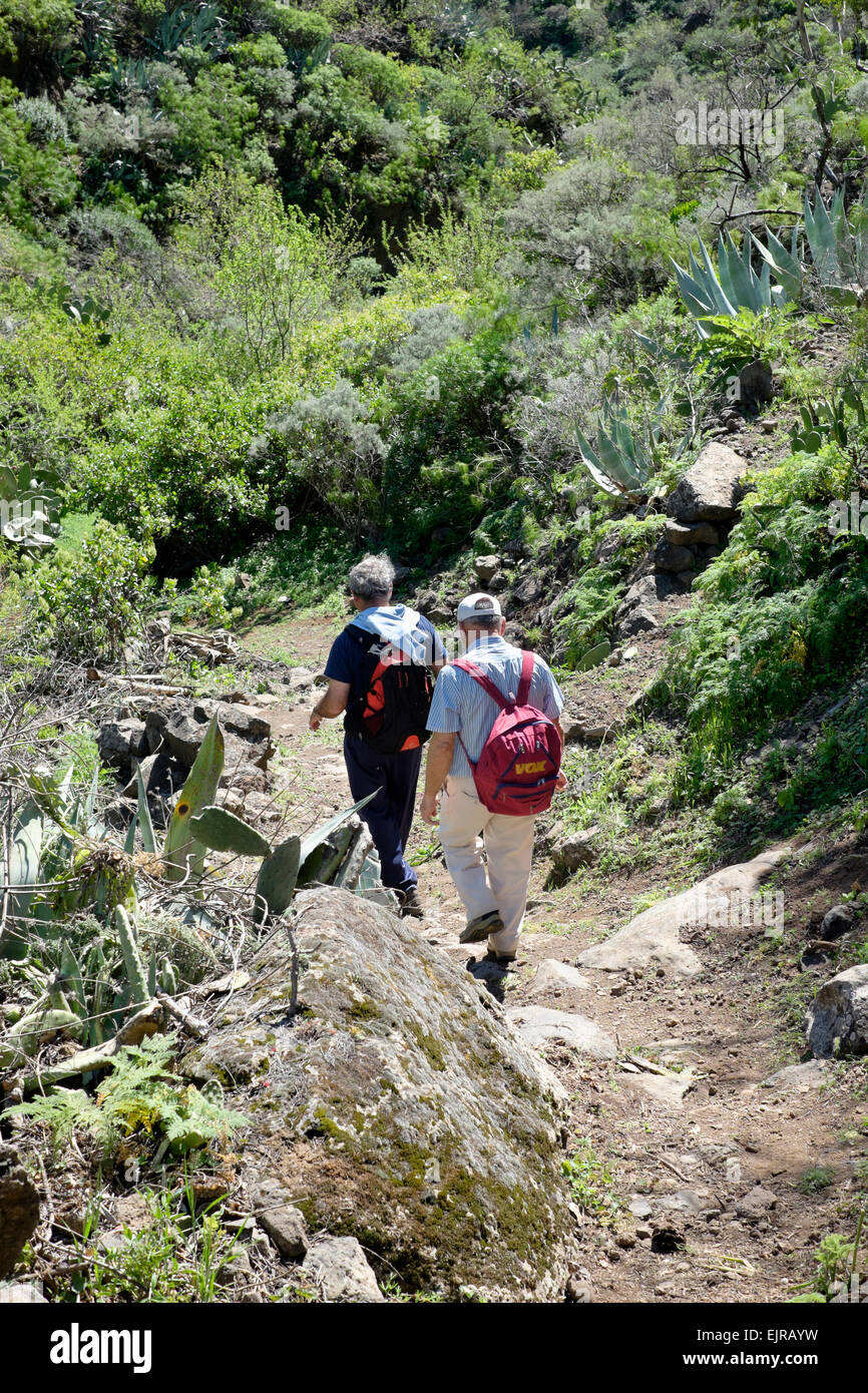 Due uomini a piedi alti lungo un ben tenuto sentiero escursionistico vicino a Barranco de Guayadeque, Gran Canaria, Spagna Foto Stock