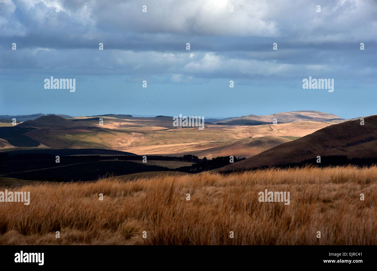 La Scozia e Inghilterra confine a Carter Bar un passaggio situato in corrispondenza della sommità di Redesdale in Cheviot Hills, ad un'altitudine di 418 m. Foto Stock