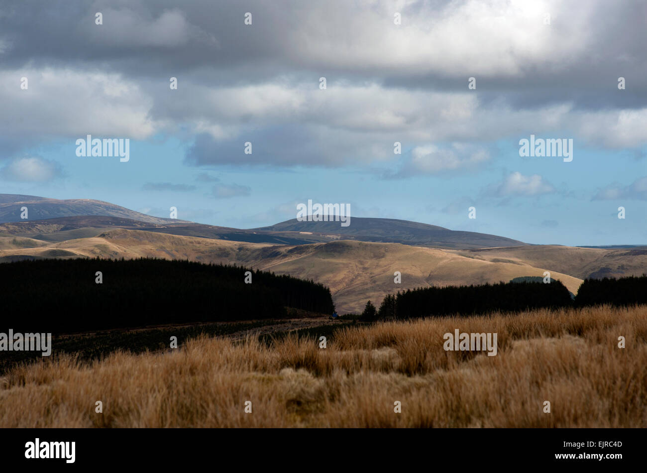 La Scozia e Inghilterra confine a Carter Bar un passaggio situato in corrispondenza della sommità di Redesdale in Cheviot Hills, ad un'altitudine di 418 m. Foto Stock