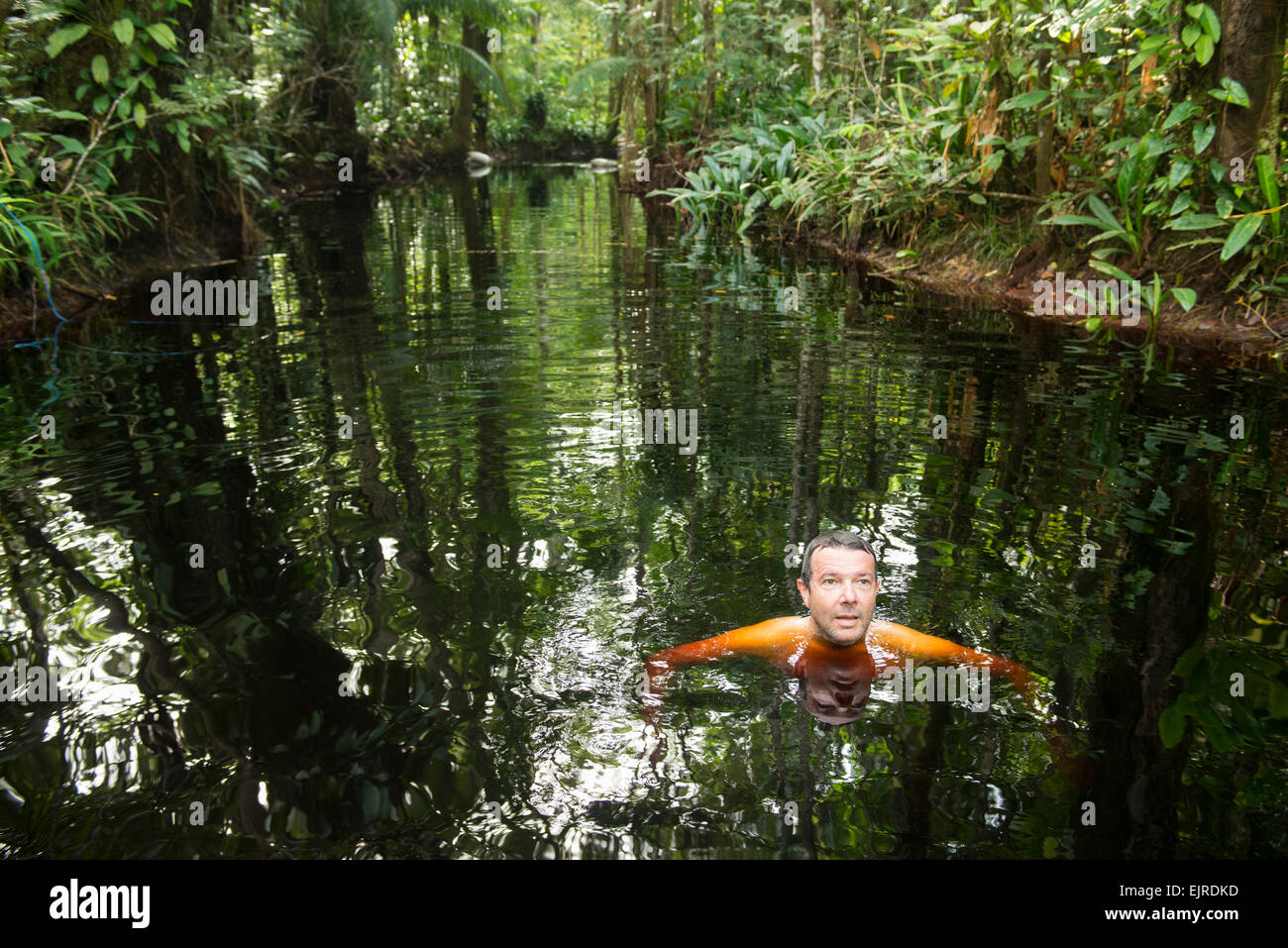 Piscina turistico in una giungla-frange creek vicino a Paramaribo, Suriname Foto Stock