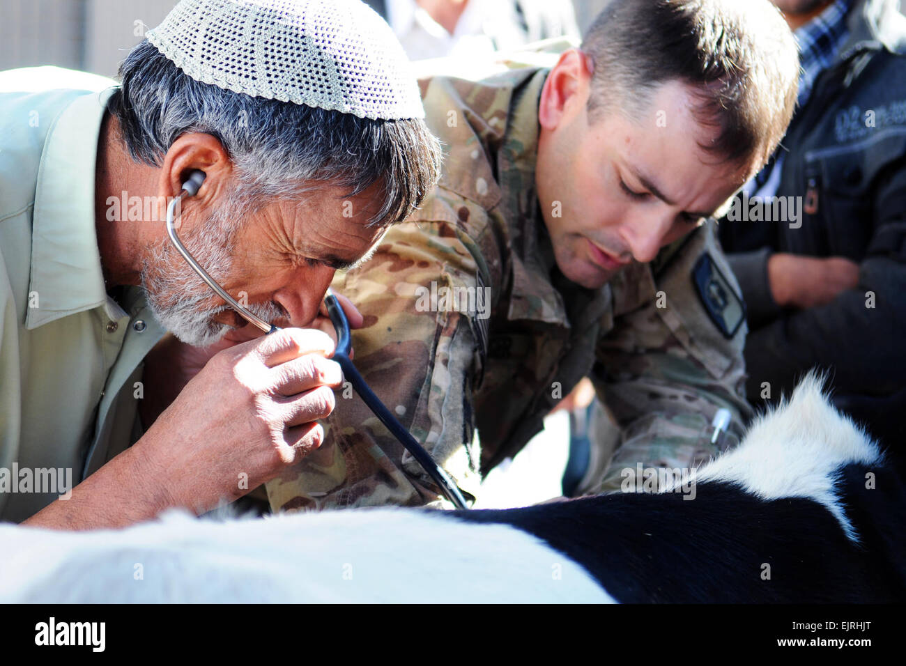 Stati Uniti Esercito Capt. Shawn Basinger, un veterinario con il 438th Medical il distacco dei servizi veterinari MDVS conduce la formazione con gli enti locali afghani dall'Farah direttore dell agricoltura, irrigazione e del bestiame DAIL ufficio di Farah, 1 dic. Il corso di formazione è stato uno sforzo congiunto tra il Team di Ricostruzione Provinciale PRT Farah, il 438th Medical il distacco dei servizi veterinari MDVS e SOTF-W per promuovere la salute pubblica nella provincia di Farah. PRT Farah ha la missione di treno, consigliare e assistere il governo afgano leader a livello comunale, distretto e i livelli provinciali nella provincia di Farah in Afghanistan. La loro c Foto Stock