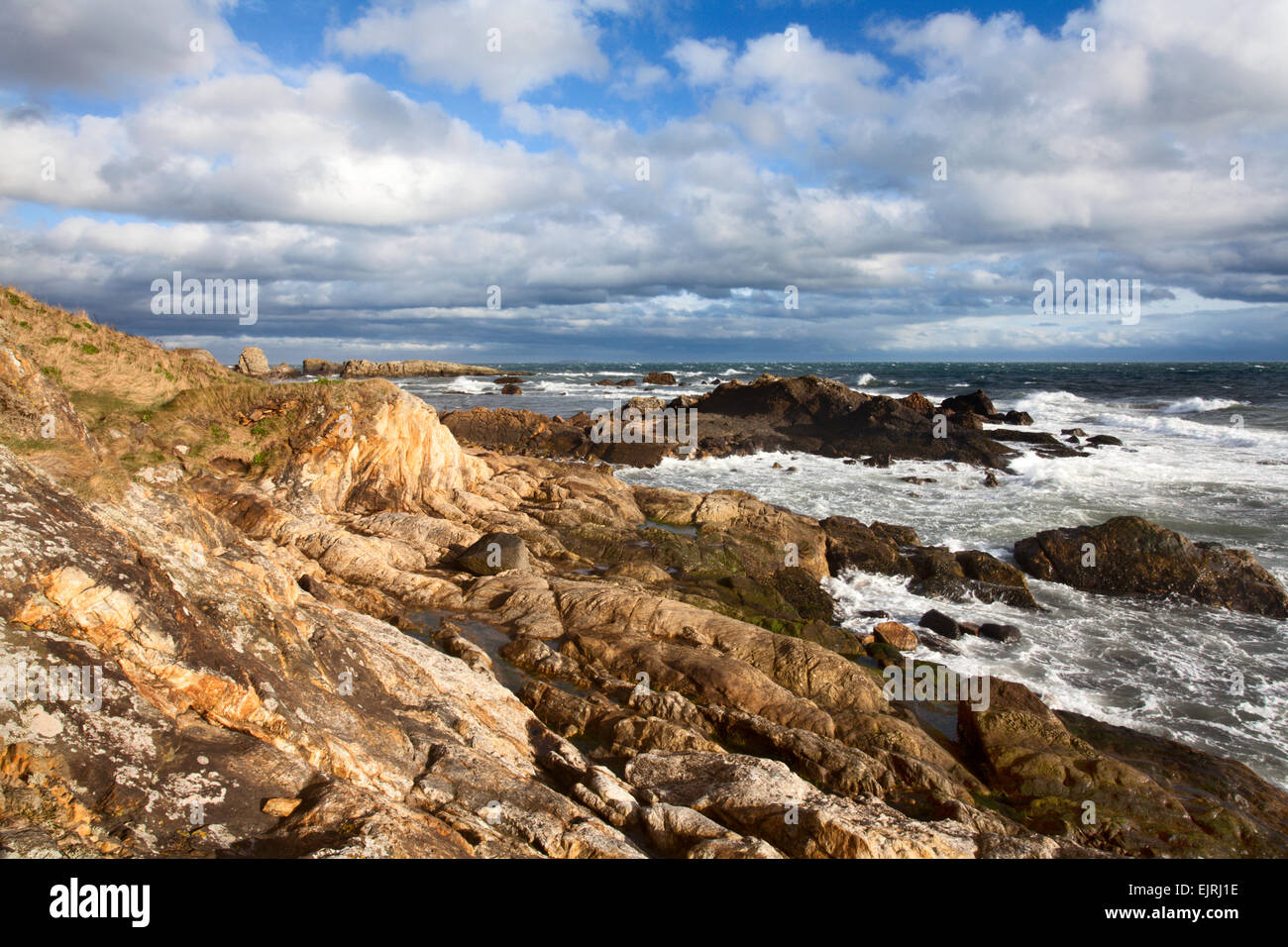 Rocce colorate sulla riva lungo la costa di Fife percorso vicino a St Monans East Neuk di Fife Scozia Scotland Foto Stock