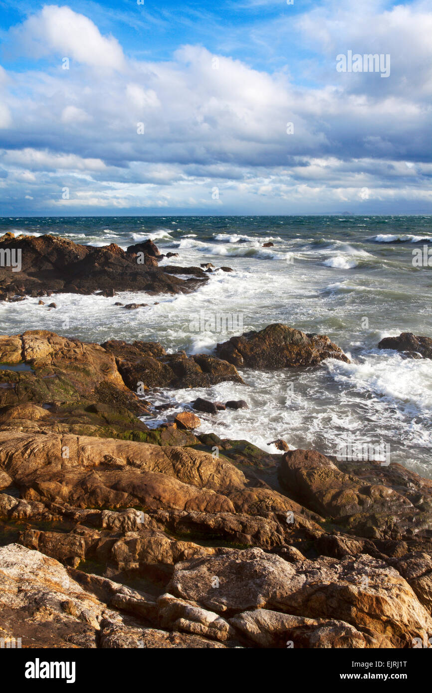 Rocce illuminate dal sole sulla riva del Firth of Forth a St Monans East Neuk di Fife Scozia Scotland Foto Stock