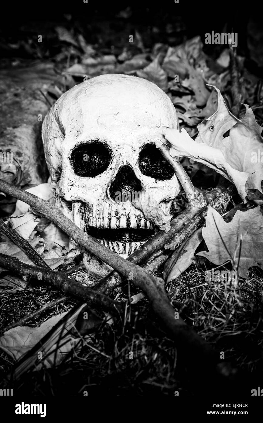 Un teschio sul terreno nei boschi; fotografato al buio usando luce pittura Foto Stock
