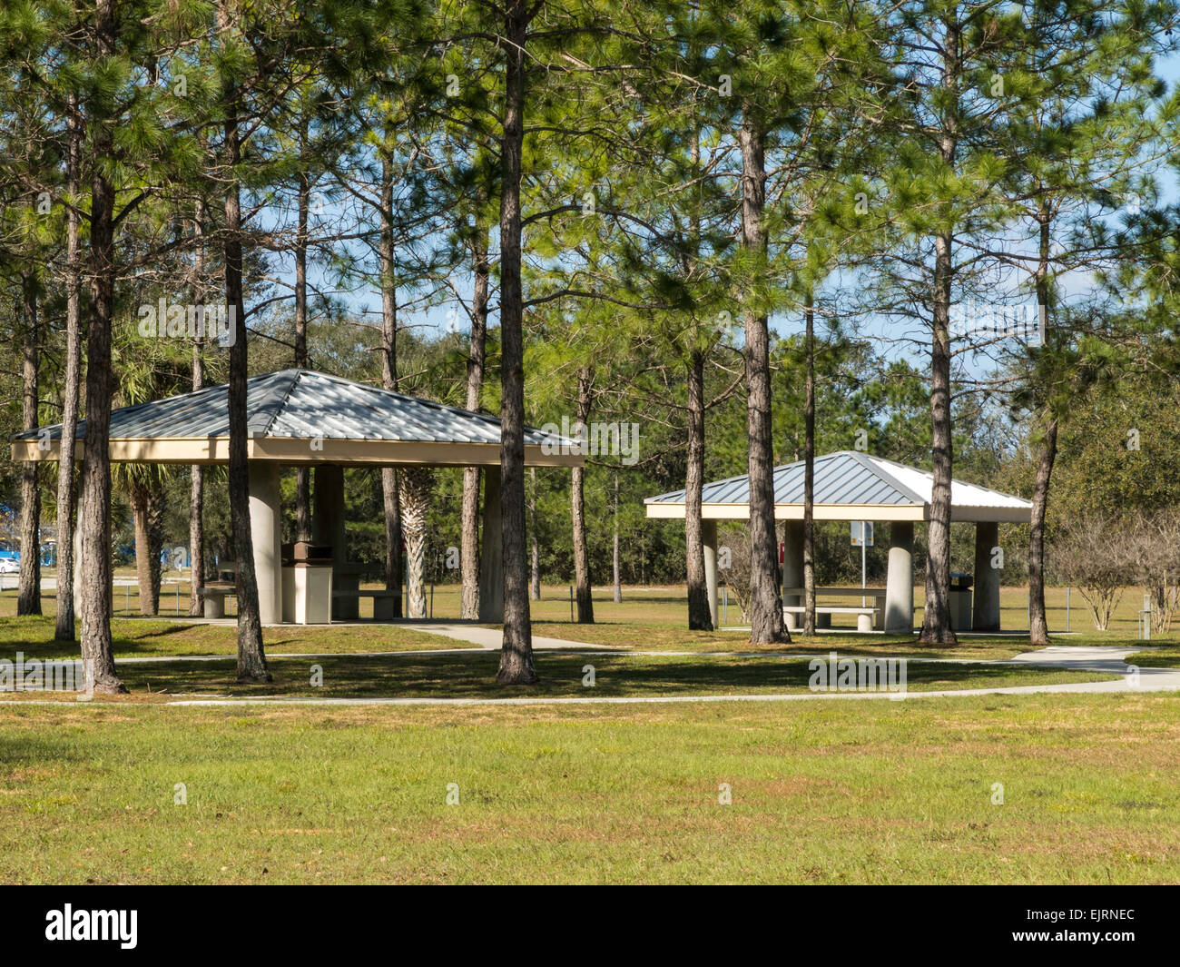 Area Picnic rifugi presso l'interstatale di riposo, Florida, Stati Uniti d'America Foto Stock