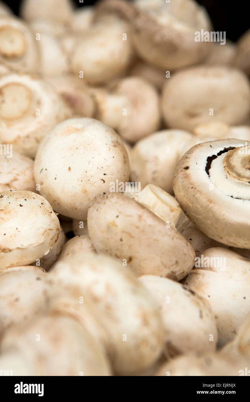 Funghi organico da un mercato locale Foto Stock