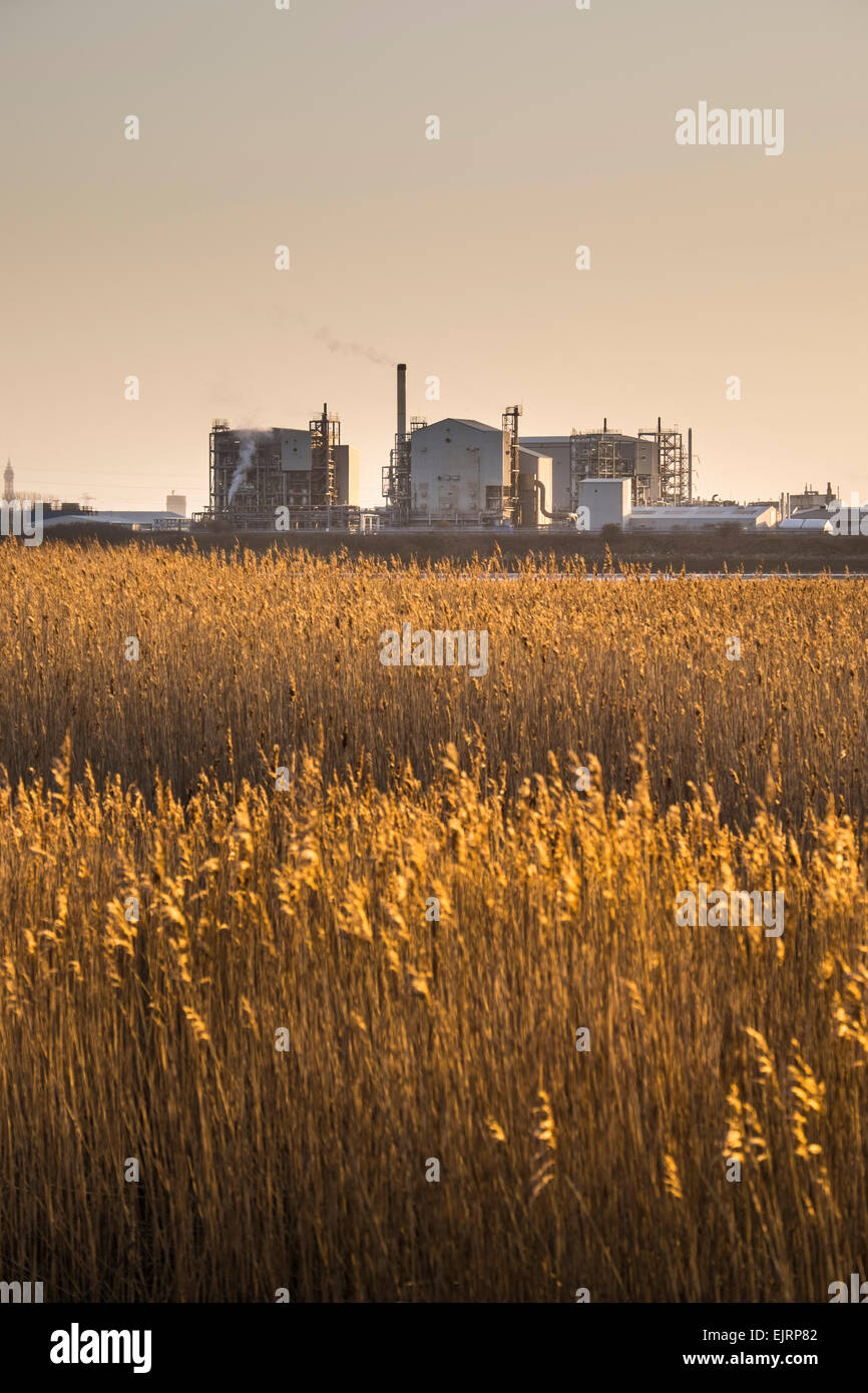 Cleveleys Lancashire: La Victrex fabbrica chimica in Lancashire. Foto Stock