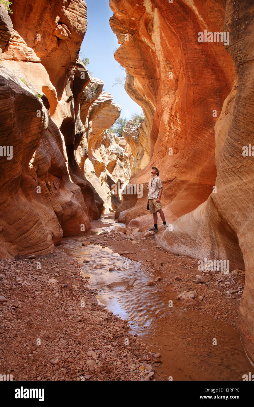 Adulto uomo in piedi in uno slot canyon e guardando verso l'alto Foto Stock