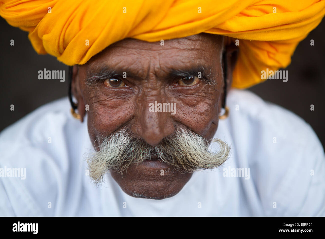 Ritratto di un uomo di Rajasthani con un baffi e turbante Foto Stock