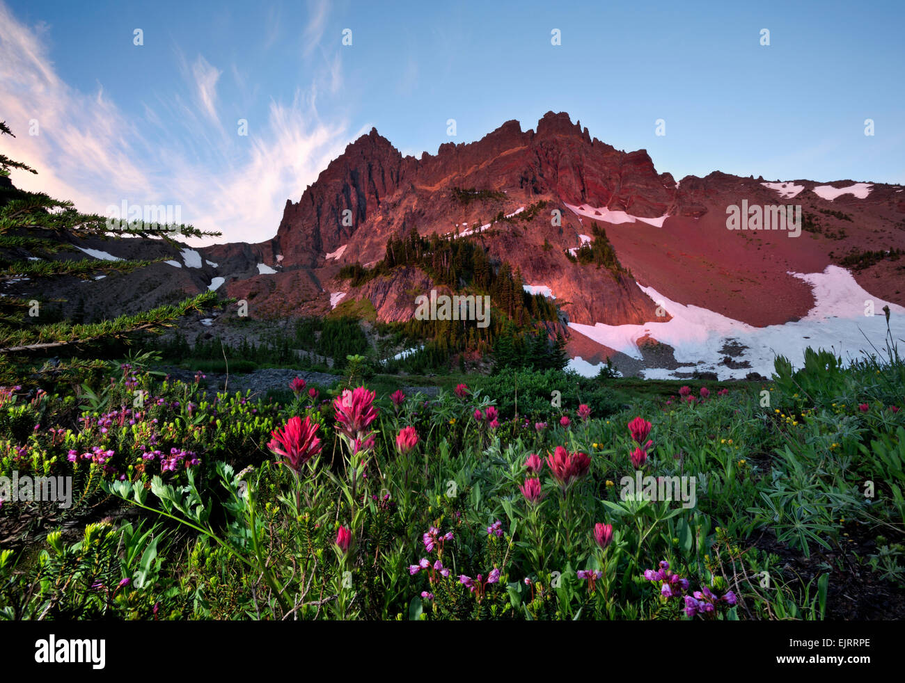 O01864-00...OREGON - Sunrise su tre dita Jack da alto Canyon Creek prato in Mount Jefferson Wilderness area. Foto Stock