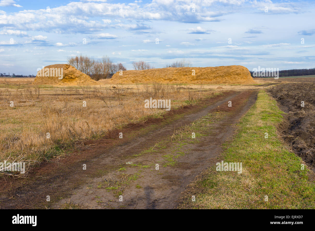 Inizio della primavera paesaggio in Ucraina - strada di terra per haystacks Foto Stock
