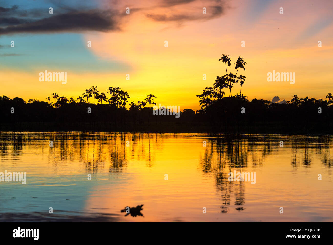 Tramonto colorato nel profondo della foresta pluviale amazzonica del Perù Foto Stock