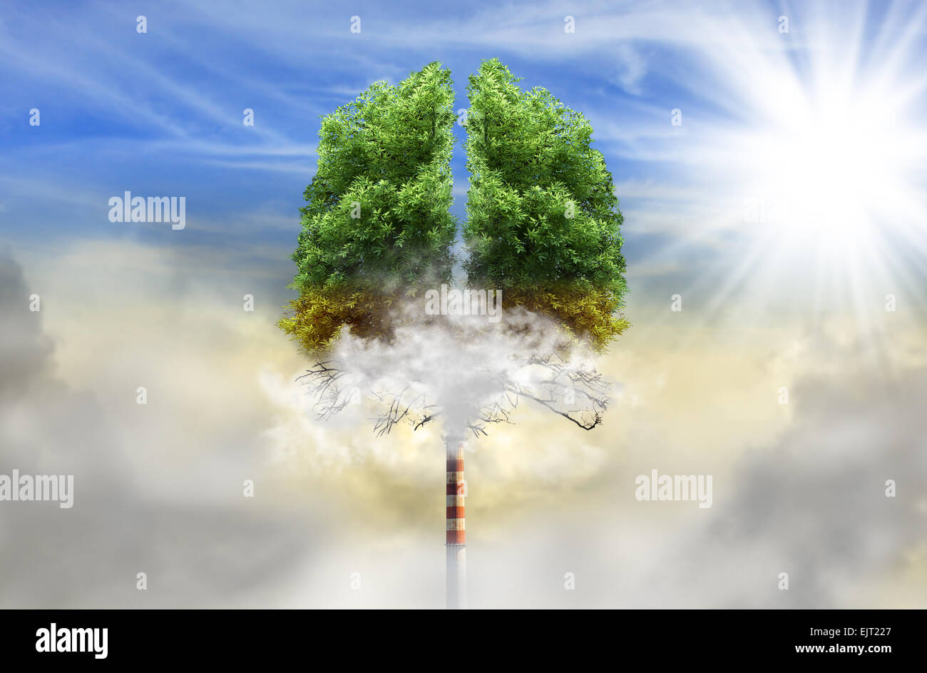 Albero in una forma di polmoni con camino al posto di trunk, eco concetto, inquinamento Foto Stock