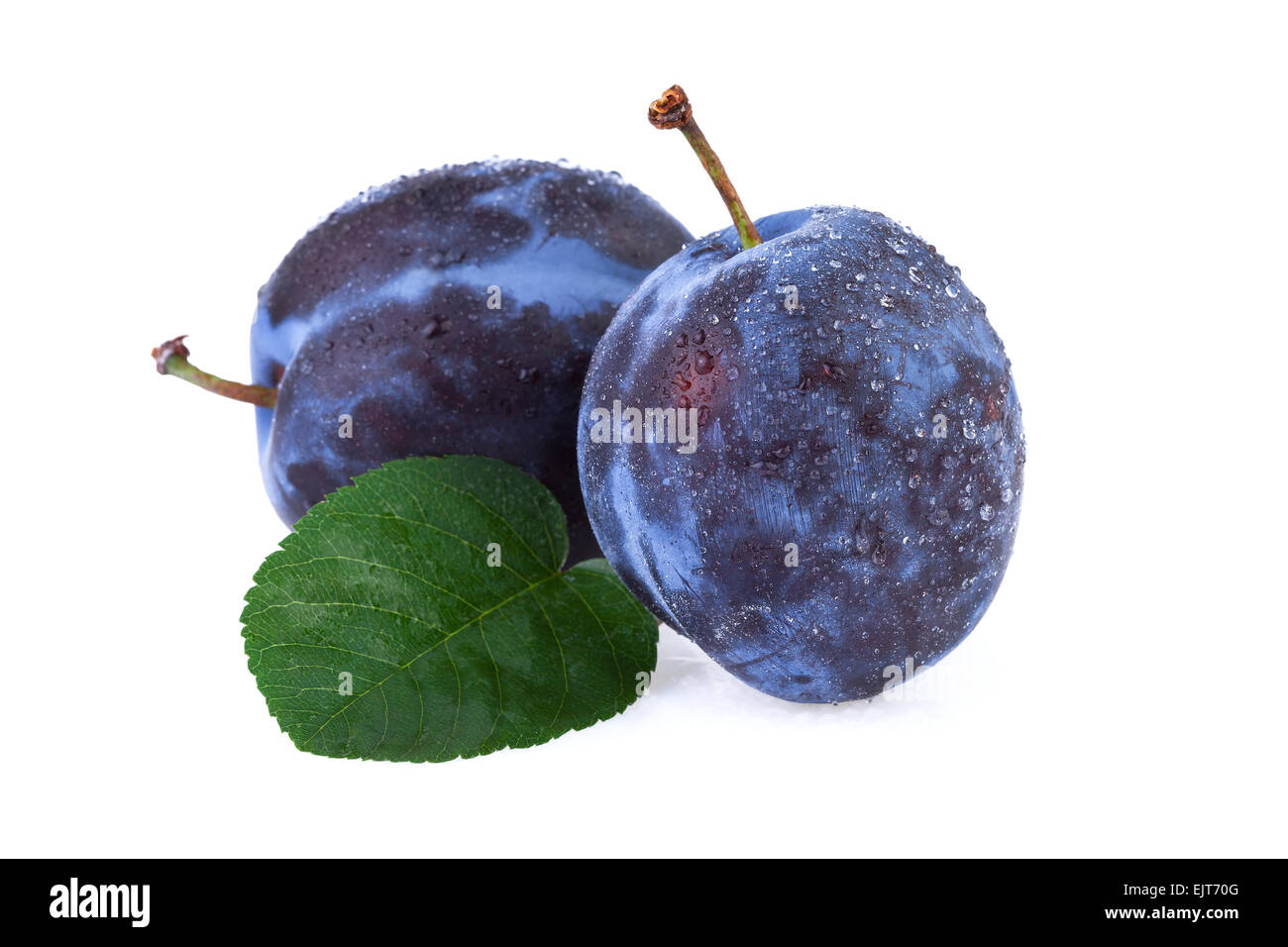 Prugna fresca frutta su bianco Foto Stock