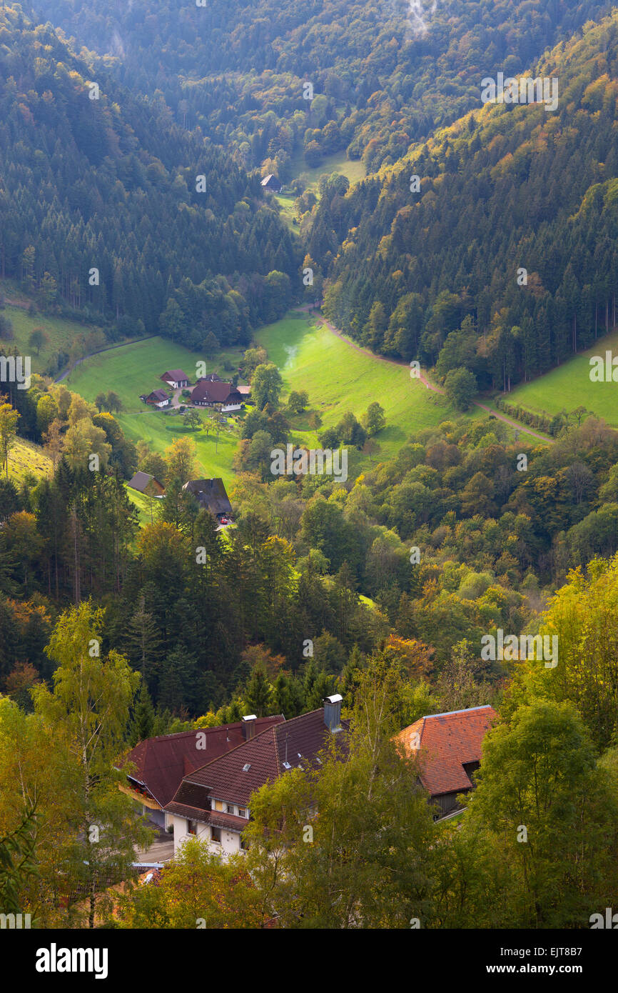 Panoramica di agriturismi in una valle nella Foresta Nera vicino Zwei Talerland, Simonswald, Baden-Württemberg, Germania Foto Stock