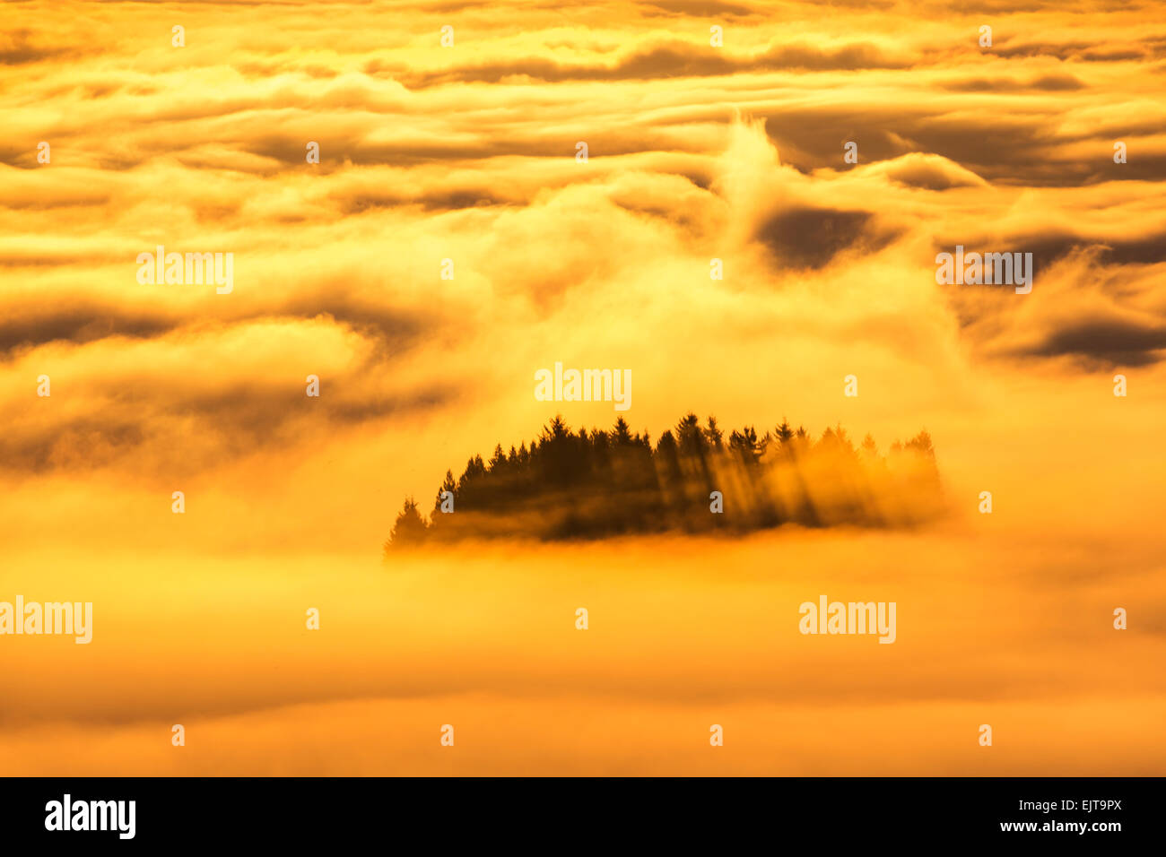 Bagliore di mattina, golden cloudscape. vista dal West Vancouver Foto Stock