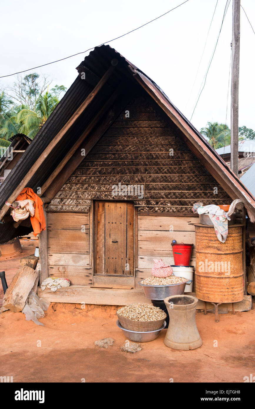 Homestead in un villaggio di Maroon sulla parte superiore del fiume Suriname, Suriname Foto Stock