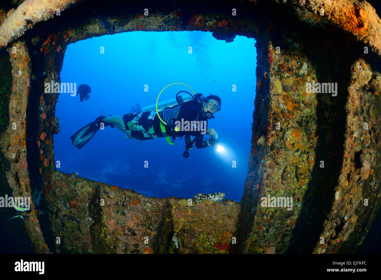 Naufragio MV Kudhi Maa Maldive, Naufragio Kudhi Maa e scuba diver, Mahchafushi, Maldive, Oceano Indiano Foto Stock