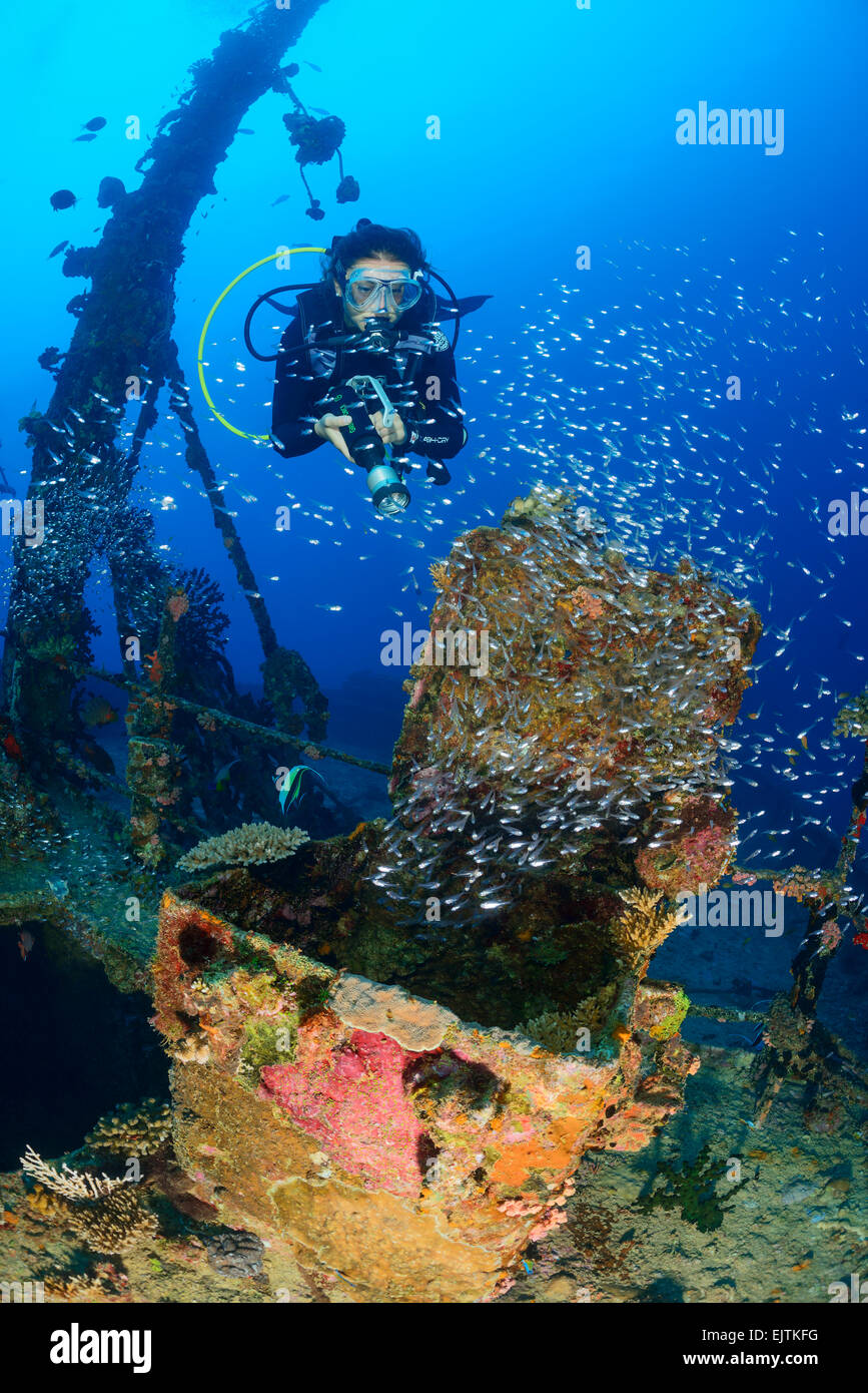 Naufragio MV Kudhi Maa Maldive, Naufragio Kudhi Maa e scuba diver, Mahchafushi, Maldive, Oceano Indiano Foto Stock