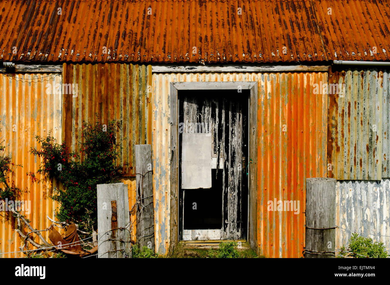 Rusty vecchio capannone isola di muck Foto Stock