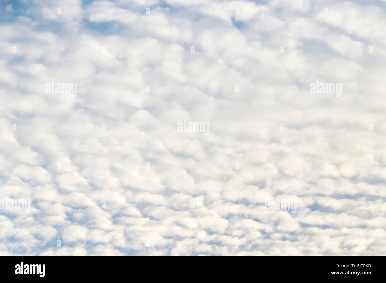 Blu cielo, molti, bianco, puffy, nuvole, nessuno, scenario Foto Stock