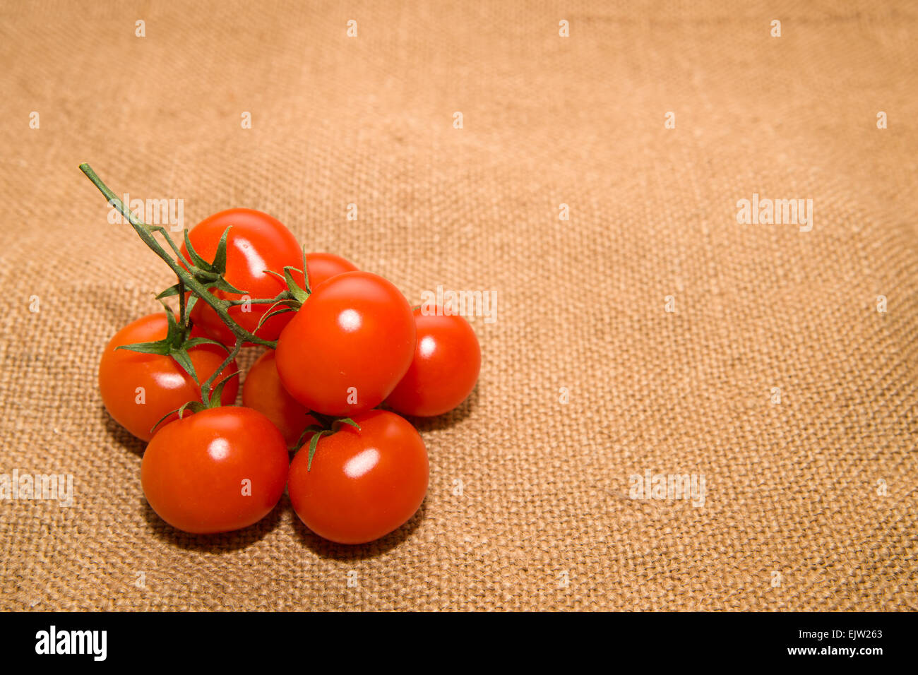 Grappolo di pomodori ciliegia sul panno vecchio Foto Stock