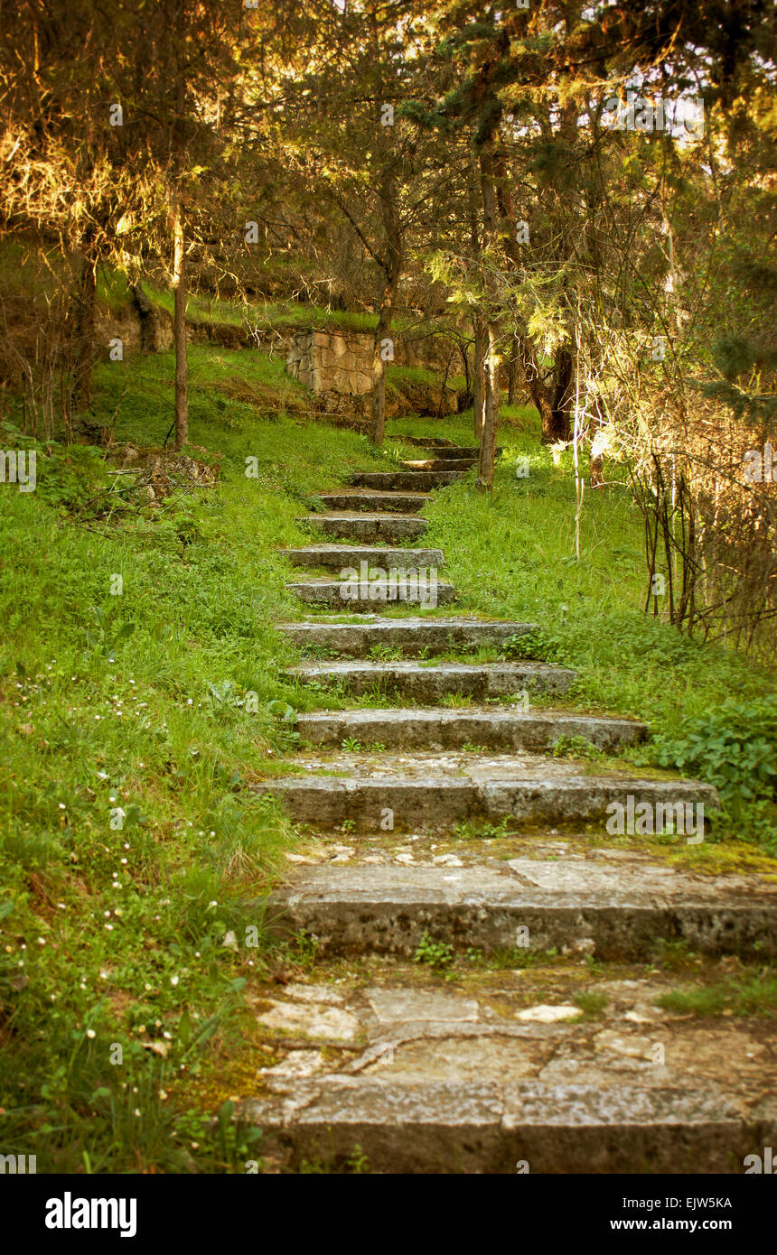 Vecchio di gradini di pietra il percorso che conduce al sole, con pressione atmosferica illuminazione calda. Con la profondità di campo. Foto Stock