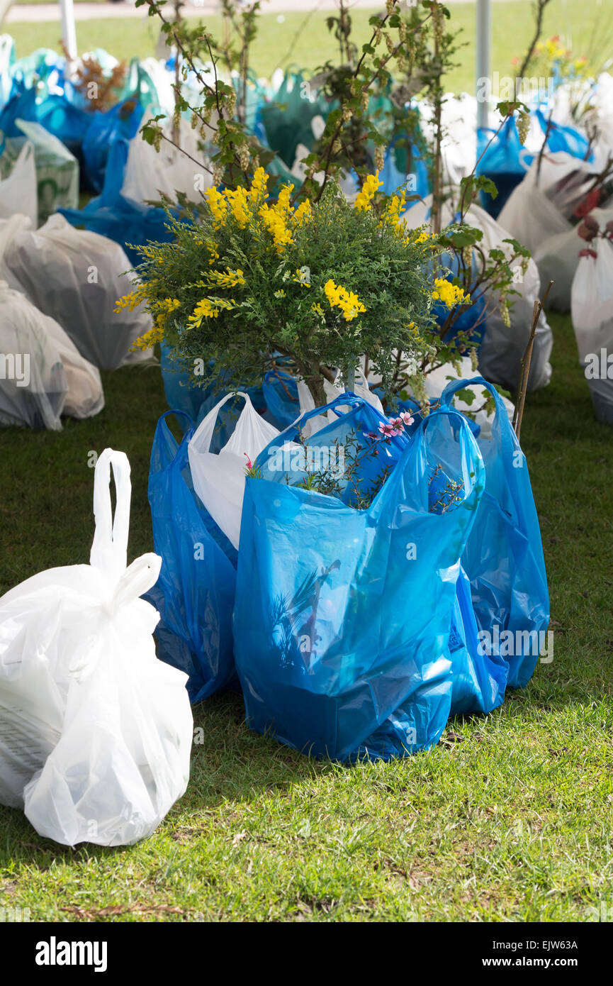Acquistate i fiori in sacchetti di plastica a un impianto in fiera. Regno Unito Foto Stock
