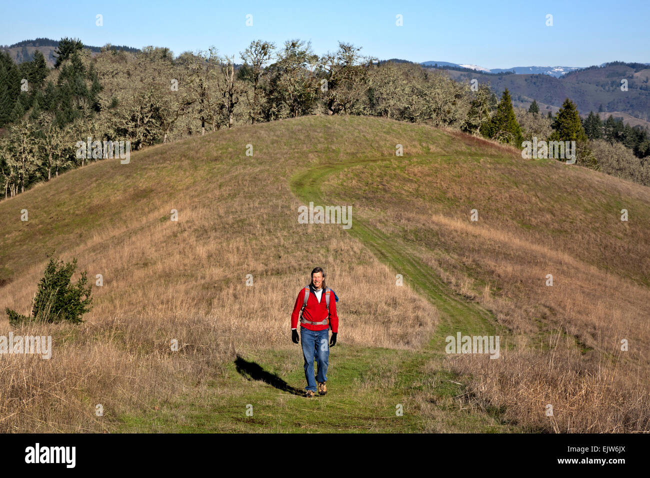 OREGON - escursionista sulla Thistle Ridge sentiero in riva nord Habitat Area di gestione alta al di sopra della North Fork Umpqua Valley. Foto Stock