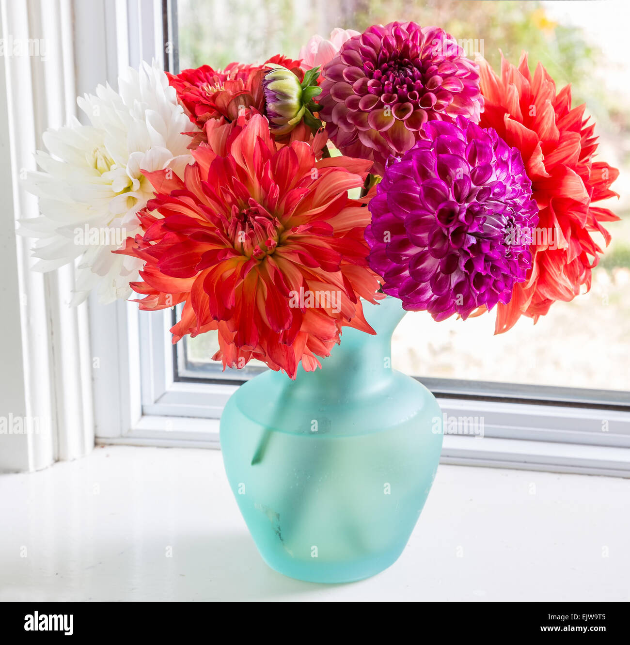 Grazioso bouquet di dalie in un vaso di vetro. Foto Stock