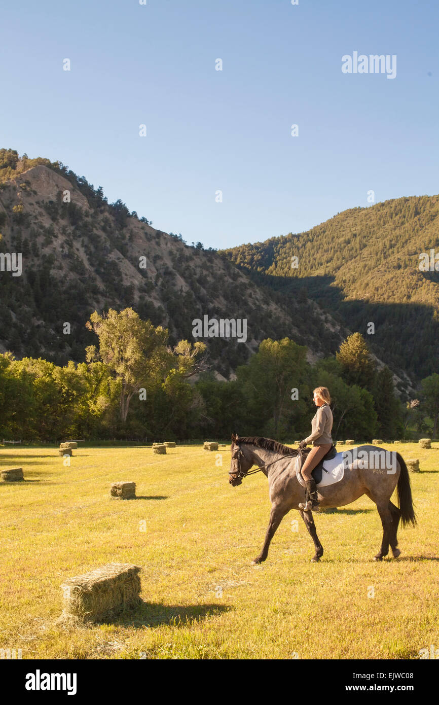 Stati Uniti d'America, Colorado, Donna passeggiate a cavallo nel campo al tramonto Foto Stock