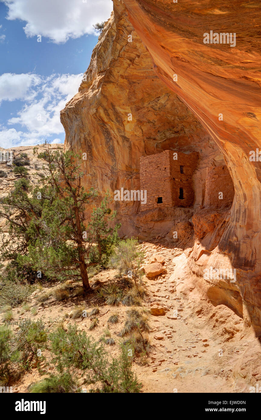 Torre indiani Anasazi rovine - Comb Ridge - Utah Foto Stock
