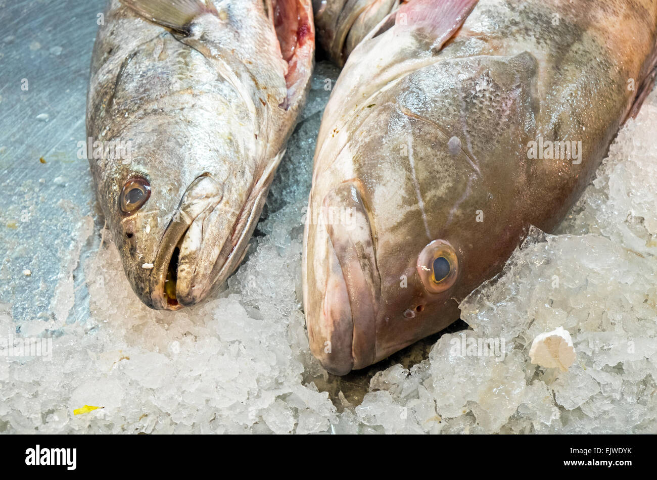 Due pesci su ghiaccio per la vendita su un mercato Foto Stock