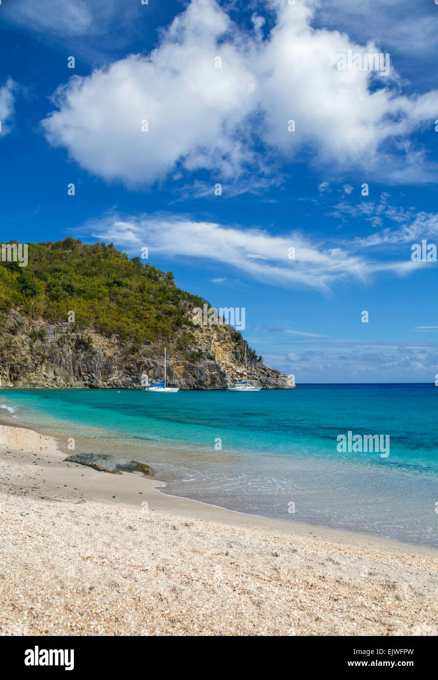 Shell Beach in San Barts Foto Stock