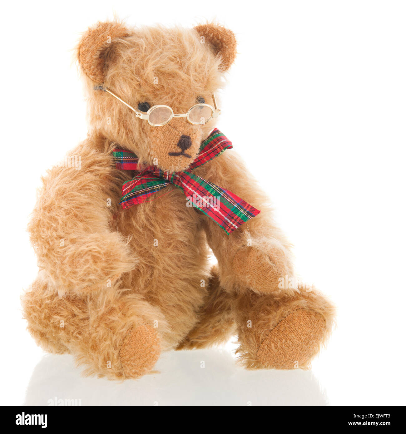 Farcite orso intelligente con vetri isolati su sfondo bianco Foto Stock