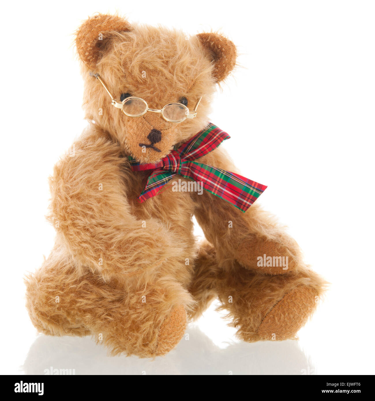 Farcite orso intelligente con vetri isolati su sfondo bianco Foto Stock