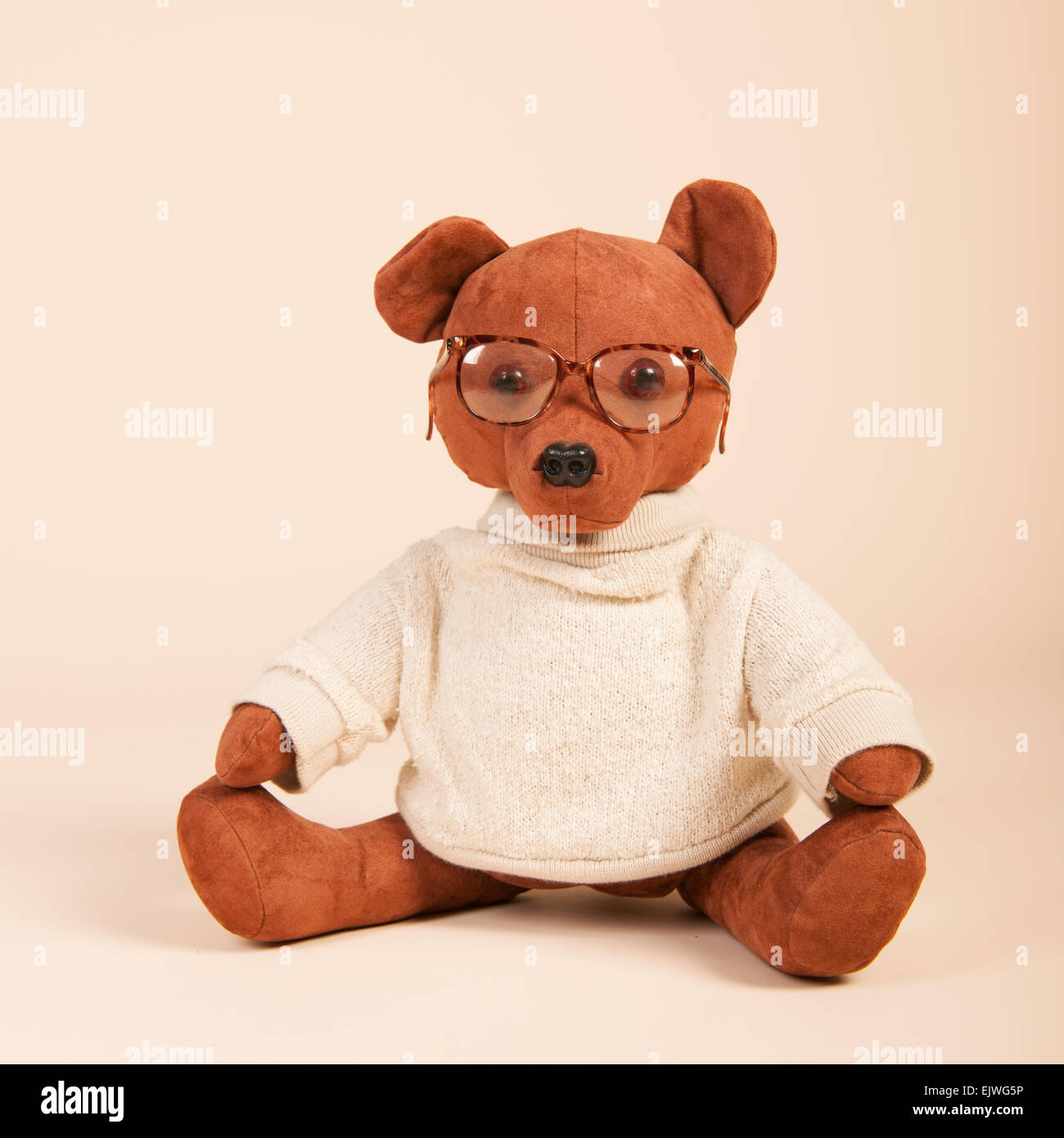 Orso farcito con gli occhiali e un maglione Foto Stock
