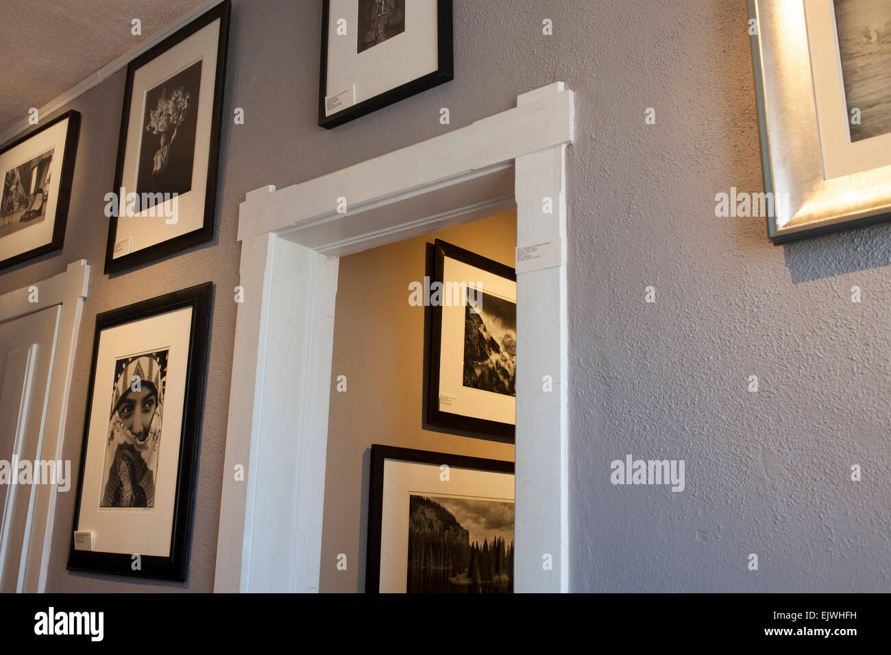 Stati Uniti d'America New Mexico NM Santa Fe interno del Andrew Smith Galleria di Belle Arti Fotografiche fotografia classici per la vendita Foto Stock