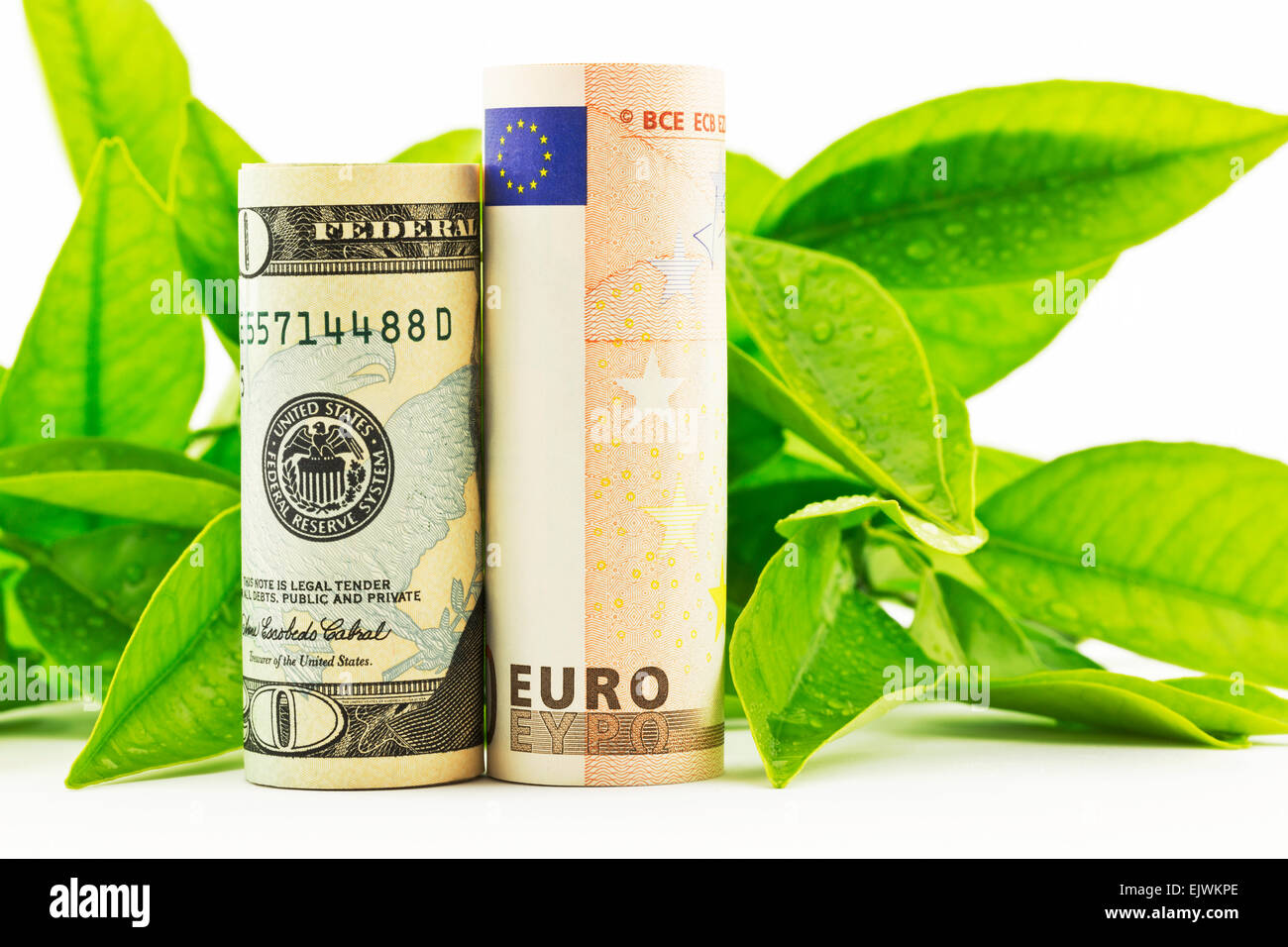 Dollaro americano e della valuta europea Euro posto nella parte anteriore di foglie fresche, umido di rugiada, in orizzontale dell'immagine. Foto Stock