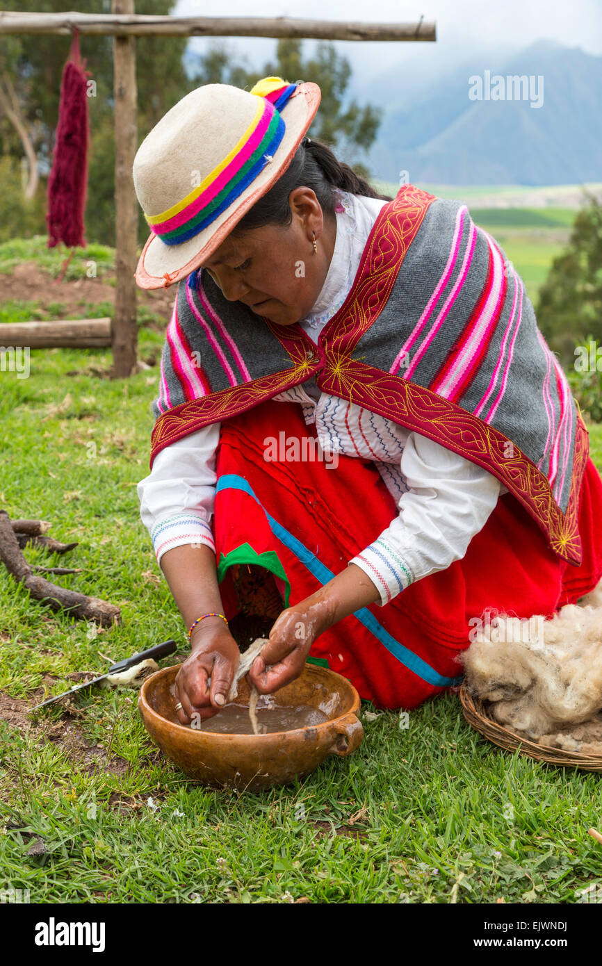 Il Perù, Valle di Urubamba, Quechua villaggio di Misminay. Donna Lana di lavaggio nel detergente organico ottenuto da una radice locale. Foto Stock