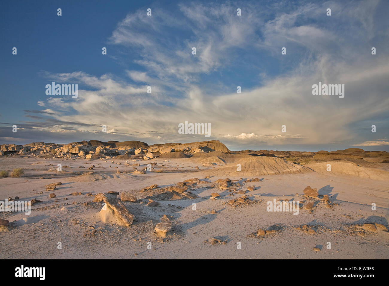 Il Bisti-De Na Zin Recreation Area è indicato come un badlands a causa dei molti insolite formazioni geologiche e l'multico Foto Stock