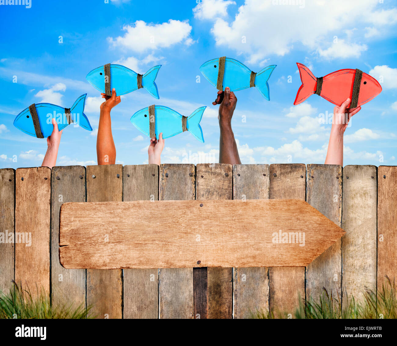 Scuola di pesce e il cartello in legno con spazio di copia Foto Stock
