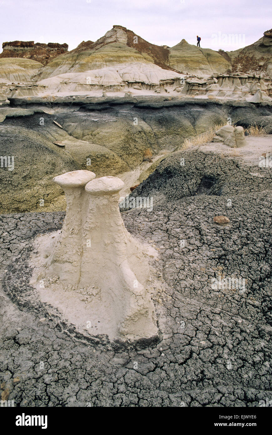 Un escursionista sullo skyline tra colorate formazioni del terreno e 'hoo doo' formazioni al Bisti Wilderness Area vicino a Farmington, NM Foto Stock