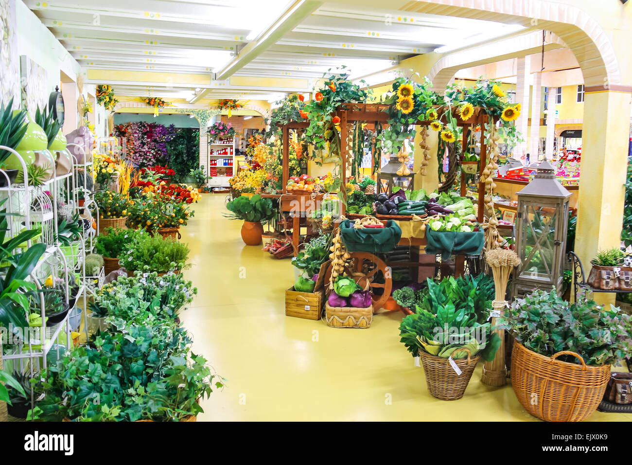 Taneto, Italia - 22 dicembre 2014: Piante ornamentali nel centro giardino mondoverde. taneto, Italia Foto Stock