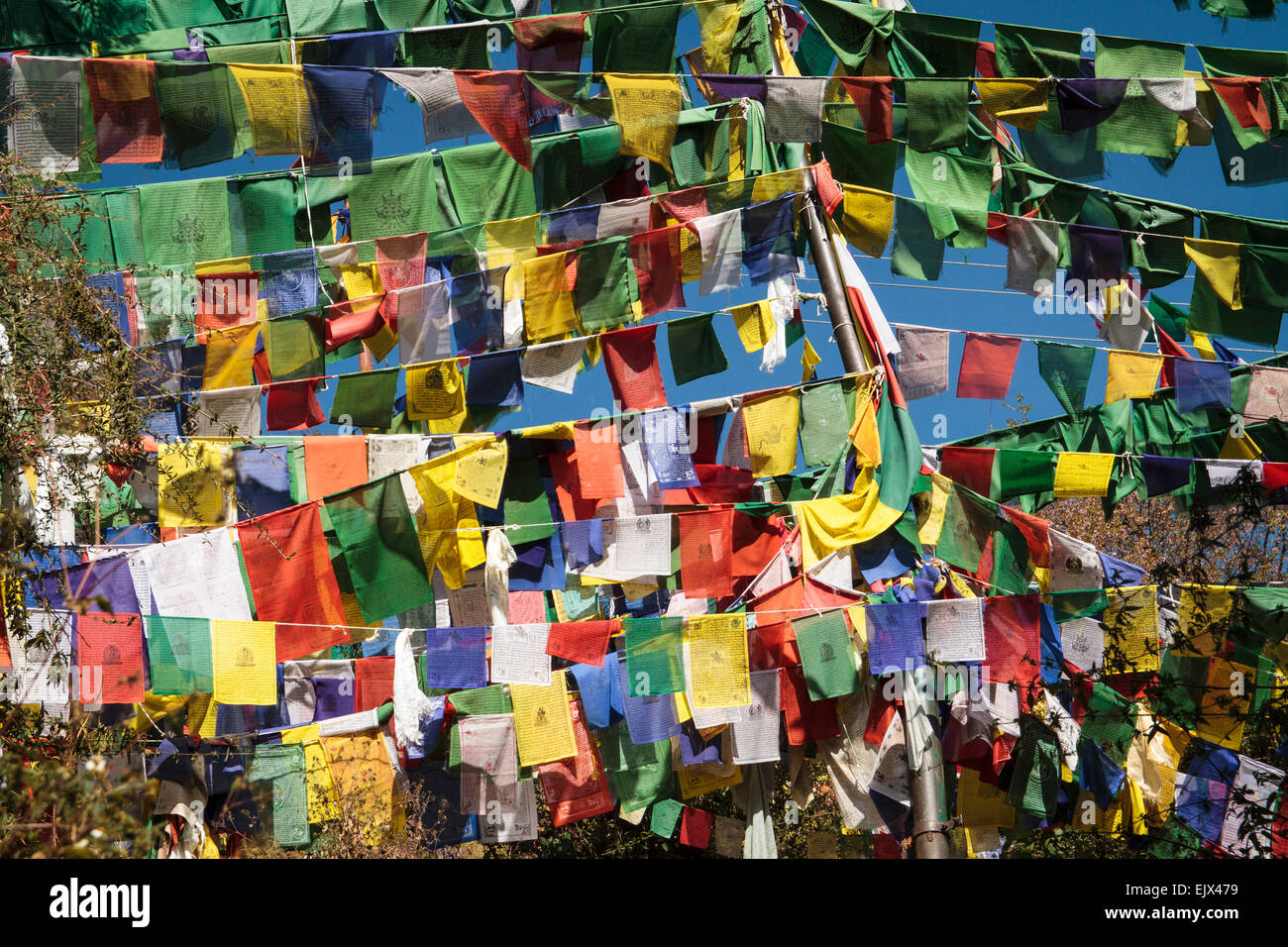 Preghiera tibetano bandiere presso il domicilio dell'esilio tibetano di governo, McLeod Ganj Dharamsala, Himal Pradesh, India, Asia Foto Stock