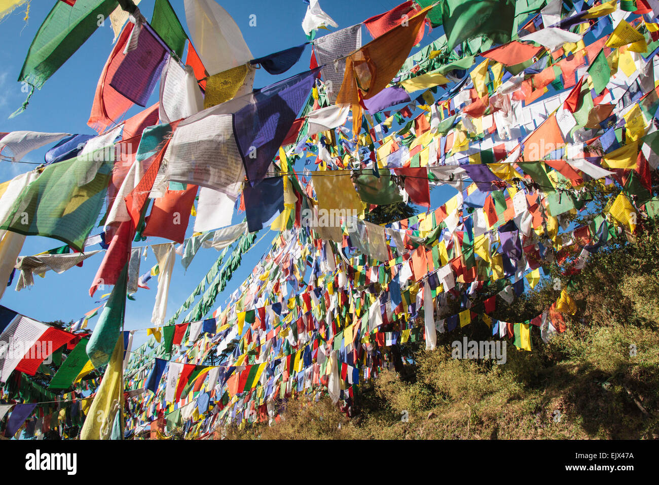 Preghiera tibetano bandiere presso il domicilio dell'esilio tibetano di governo, McLeod Ganj Dharamsala, Himal Pradesh, India, Asia Foto Stock