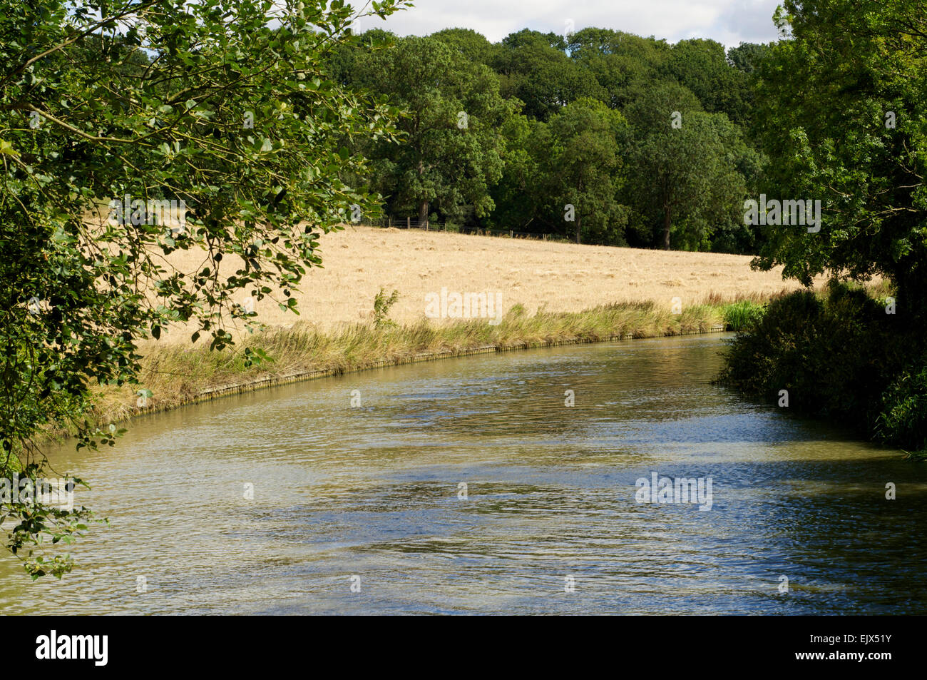 Canal nella campagna inglese nel Regno Unito su una soleggiata giornata d'estate. Foto Stock