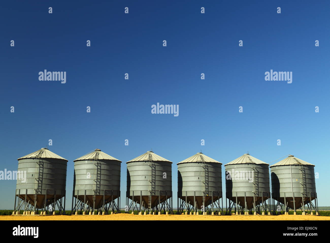 Sei silos per il grano sulla stazione Breeza - Breeza, NSW, Australia. Questa zona è parte del Liverpool Plains regione. Foto Stock