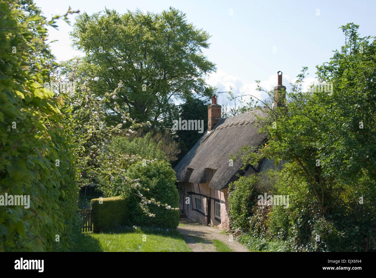 Bucks lunga Crenden - Chiesa fine - telaio in legno cottage con il tetto di paglia - alberato - corsia alta giorno di estate - sole + blu cielo Foto Stock